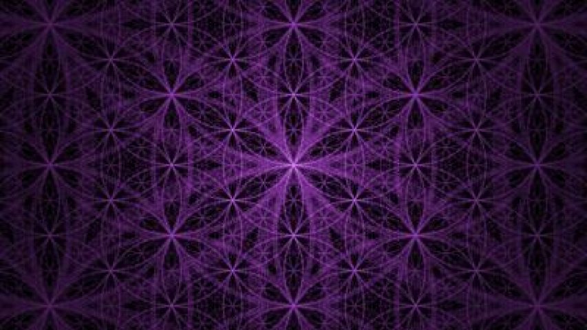 sacred-6-contact sacred-6-contact